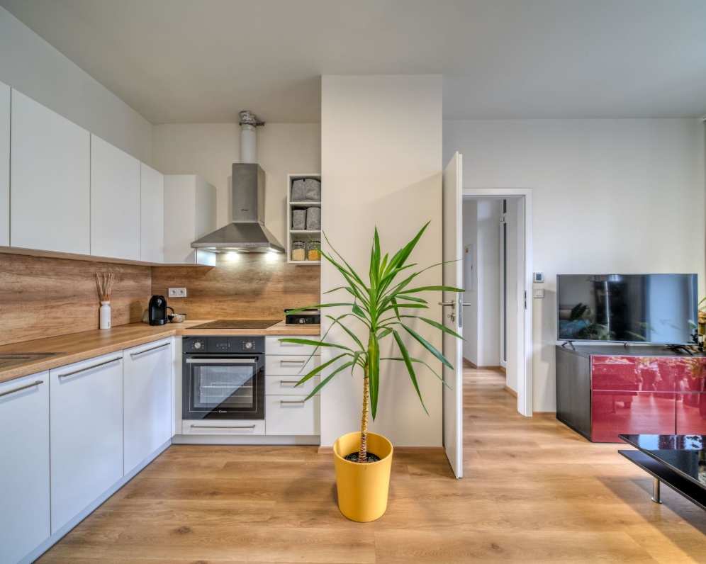 Pronájem bytu 2+kk (38 m²) + sklep, Kolín, Zengrova ulice